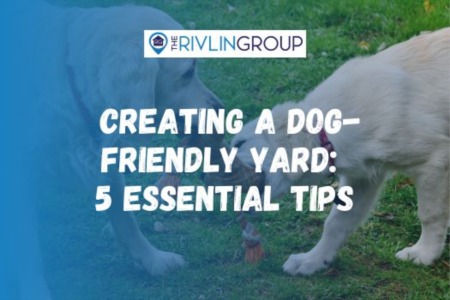Creating a Dog-Friendly Yard: 5 Essential Tips