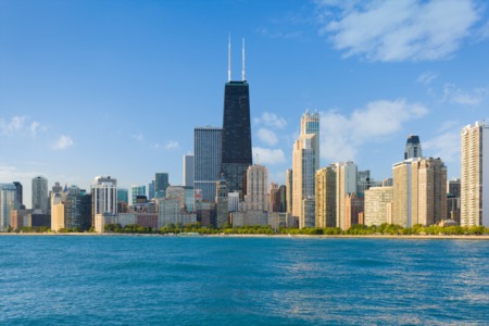 Comprehensive Forestry Services in Chicago: Enhancing the Urban Landscape