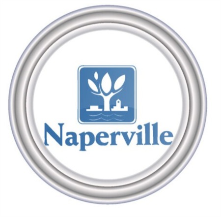 The Ultimate Guide to the Real Estate Market and Buying a Home in the Naperville School District