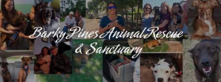 Barky Pines Animal Rescue & Sanctuary