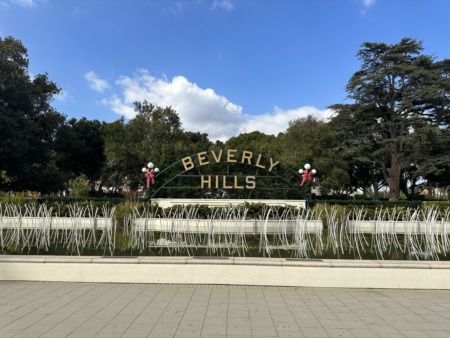 Beverly Hills Christmas Decorations