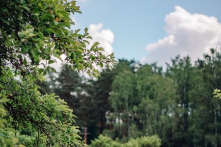 The Best Parks and Outdoor Spaces in Edmonton