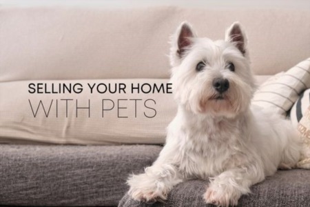 Selling Your Home With Pets