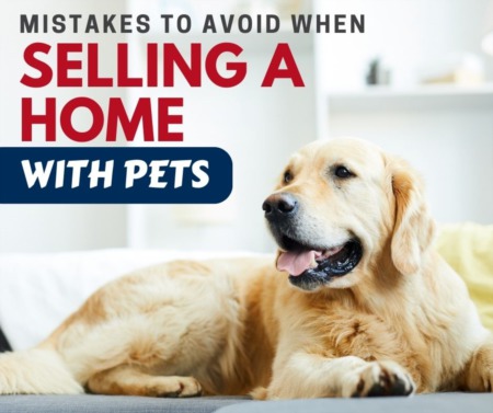 Mistakes to Avoid when Selling a Home with Pets