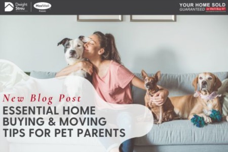 Essential Home Buying and Moving Tips for Pet Parents!