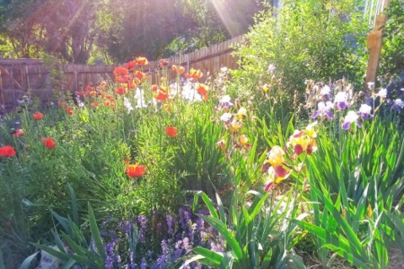 Colorado Springs Garden Tour