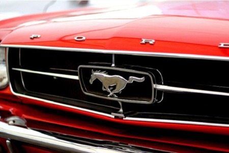 34th Annual Rocky Mountain Mustang Roundup