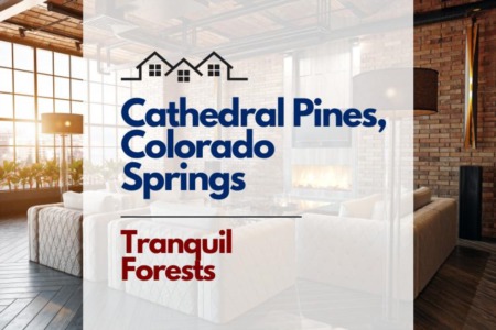Cathedral Pines, Colorado Springs: Tranquil Forests