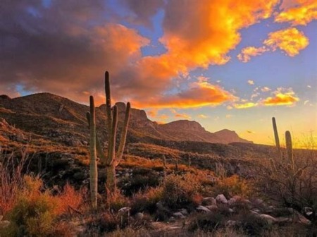 Tucson Area Mountains Offer Beauty and Recreation