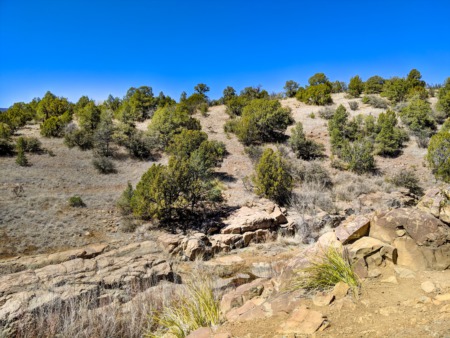 Discover the Scenic Beauty of Dragonfly Trail in Arenas Valley, NM
