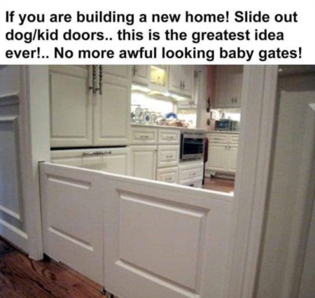 Ideas For Your New build - Pocket Dog/Kid Doors!