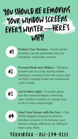 You Should Be Removing Your Window Screens Every Winter—Here's Why!