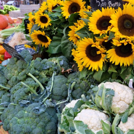 Top 10 Things To Do In Newburgh Under $10