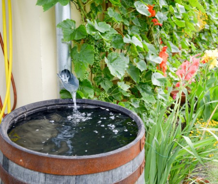 Harnessing Rainwater: The Key to Sustainable Gardening and Irrigation in Southern Indiana