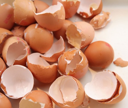 Creative Ways to Recycle and Reuse Egg Shells