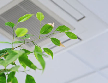 Indoor Air Quality: A Breath of Fresh Air for the Winter Months