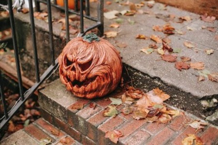 Fall Home Inspections in Canada: Hunting Household Horrors