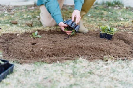 Spring Landscaping: Easy Projects & Ideas to Refresh Your Yard