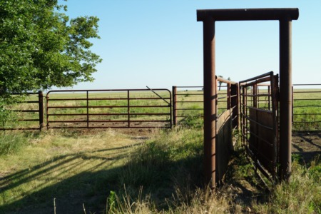 How to Setup a Ranch to Work Cattle