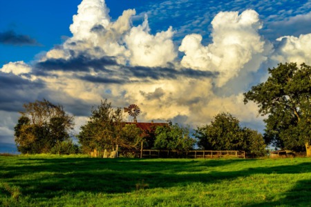 Types of Texas Farms and Ranches that Offer Income