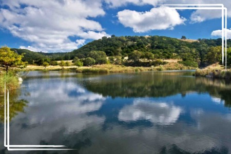 Quality Texas Hill Country Ranches and Waterfront Properties are in High Demand