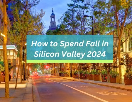 Where to Swim in Silicon Valley