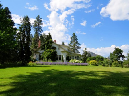 Spruce Up Your Yard in St George Utah