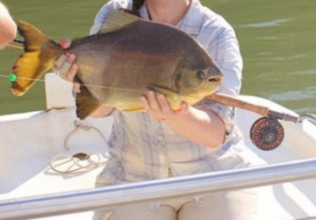 Fishing in St. George UT– Local Man Catches Piranha Relative