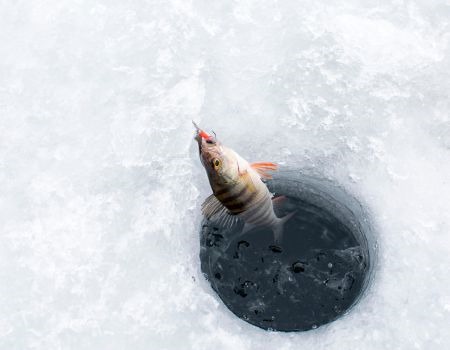 The Best Ice Fishing Right Here in Utah