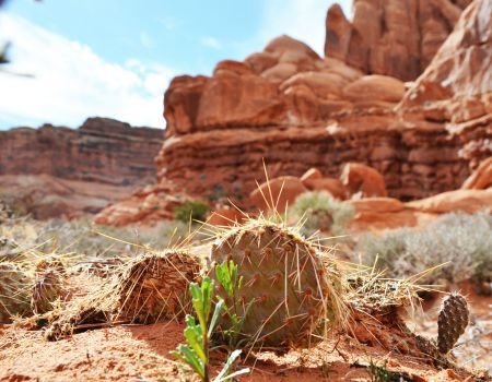 Entrada at Snow Canyon~St George Utah