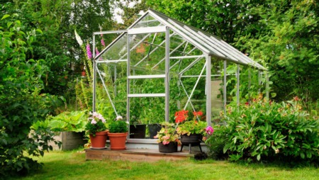 Benefits Of Adding A Greenhouse To Your Landscape