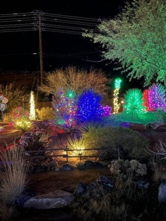 Dazzling Delight: Exploring the Holiday Lights at Red Hills Desert Garden in St. George, Utah