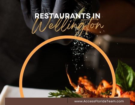 A Guide for Foodies Living in Wellington