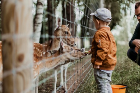 Top Things to Do in Nashville with Kids
