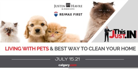 How to Clean & Maintain Homes With Pets
