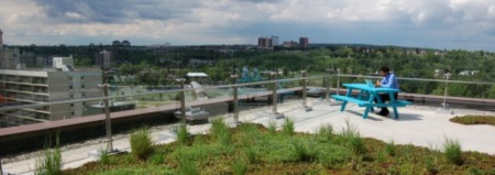 Popular Green Roofs Increase Property Values