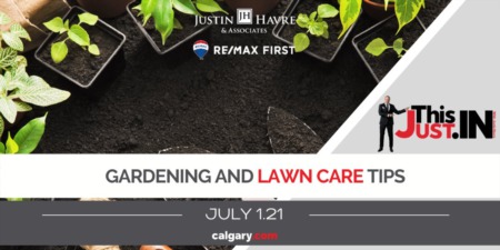 Gardening & Lawn Care: Tips to Keep Your Yard Looking Great
