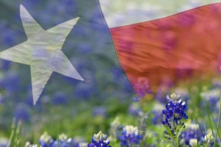 The Lone Star State: Why Buying a Home in Texas Offers Countless Benefits