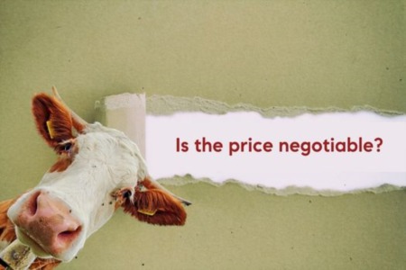 Is the Price Negotiable? | A Buyers Exclusive Resource