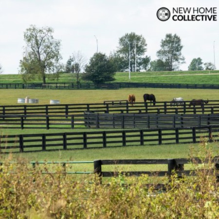 The Ultimate Guide to Buying Horse Property in Kentucky