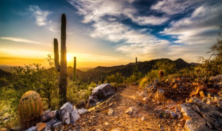 The Hidden Gems of Queen Creek - Your Ultimate Guide