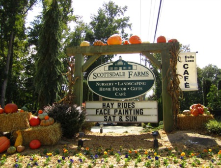 Atlanta Fall Guide: Pumpkin Patches & Corn Mazes