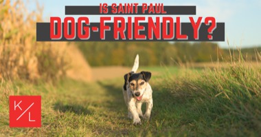 Is St Paul Dog Friendly? Best Dog Parks & Pet Friendly Places Near Saint Paul
