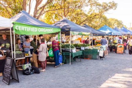 Farmer's Markets in Naples Florida: Exploring the Bounty