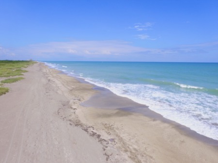 Moving to Florida: Pros, Cons, and Everything Between