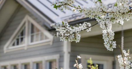 Spring into Action: 6 Essential Questions for Prospective Homebuyers