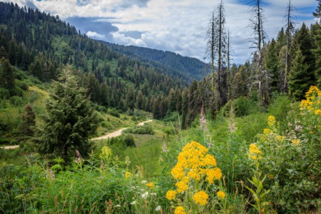 Boise National Forest Trails