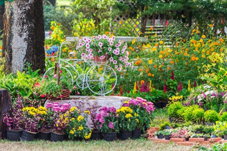 Spring Showers Bring Idaho Flowers