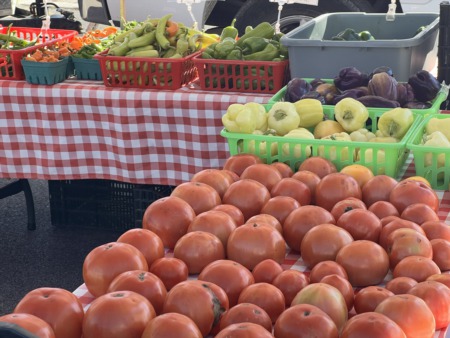 Exploring the Maryville Farmers' Market: Fresh Finds and Community Vibes