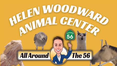 All Around The 56: Helen Woodward Animal Center